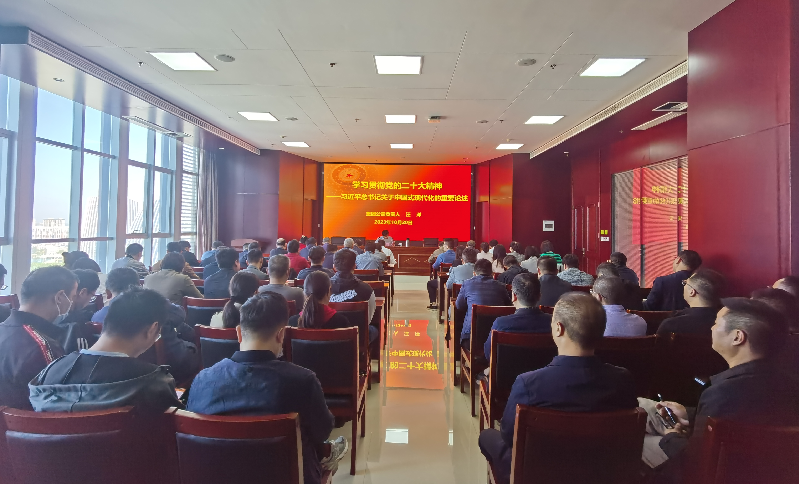 紧跟核心强忠诚 在深学细悟中坚定信仰信念 ——开云体育·开云官方网站-开云体育（中国）
负责人汪洋同志为全体党员讲授主题教育专题党课